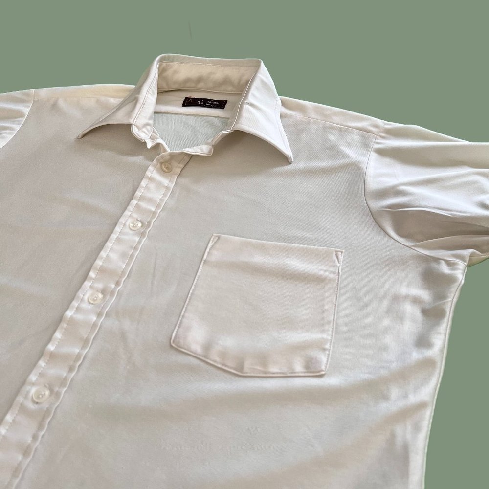 Van Heusen Silk Button Up